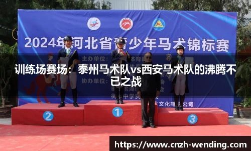 问鼎娱乐下载WEN DING